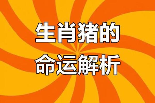 一四七，揭秘生肖中的神秘力量