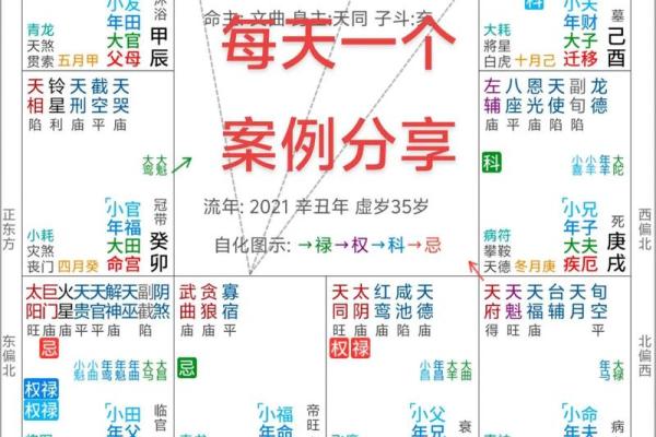 深入解析：紫薇斗数与八字哪个更准