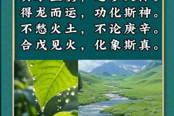 水龙腾跃，地支相随