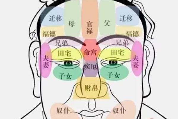 深入解读八字己土的性格特征与命运倾向