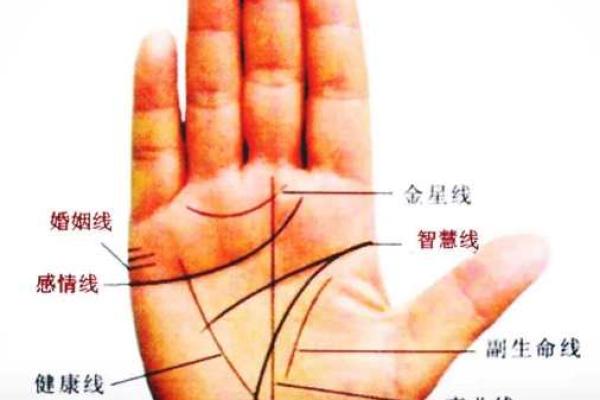 手相分叉多，揭秘命运转折点
