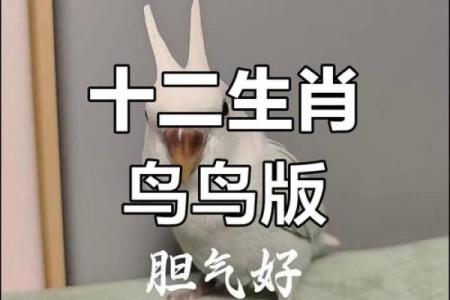 十二生肖大碰撞，爆款标题来袭