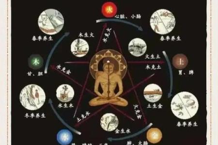 阴阳五行与命运：掌握五行力量，改变一生