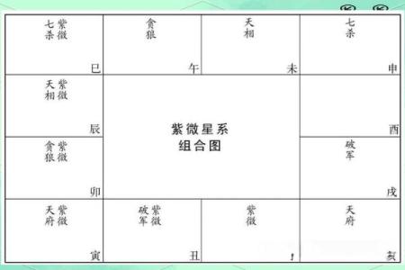 元贞星在紫薇排盘中的神秘作用，你是否了解？