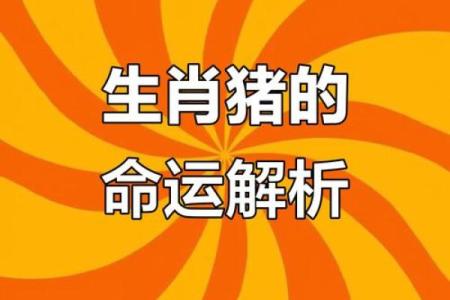 一四七，揭秘生肖中的神秘力量