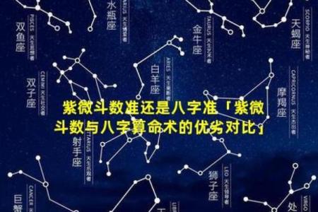 深入解析：紫薇斗数与八字哪个更准