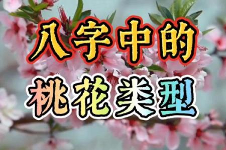 八字桃花运走旺，爱情生活将如何变化
