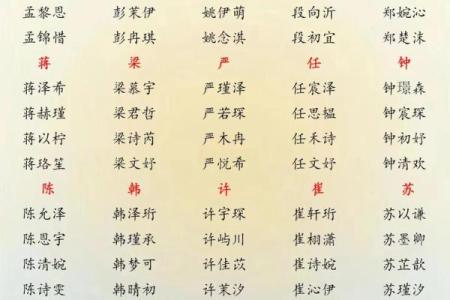 给孩子起名，用“硕”字开启成功人生的第一步
