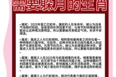 中秋佳节，生肖揭秘，猜猜你是哪个生肖？