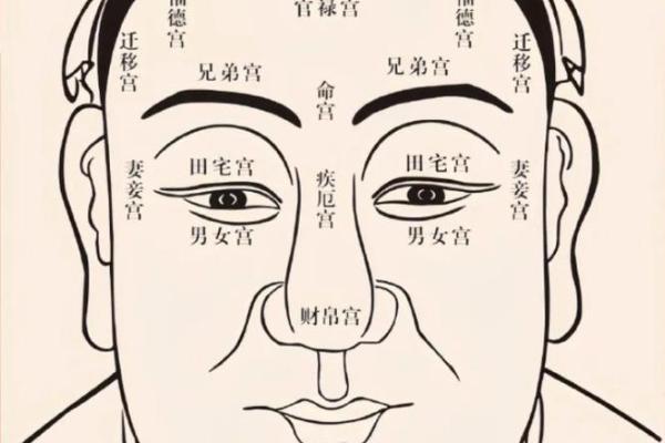 面相揭秘：看透人心，财运亨通的秘密