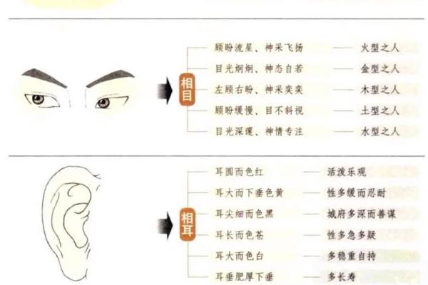 面相揭秘：看透人心，财运亨通的秘密
