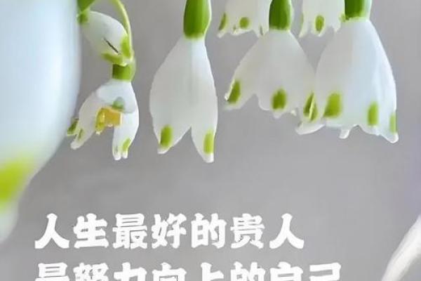 刘瑶排盘揭秘：如何用命理改变你的人生轨迹