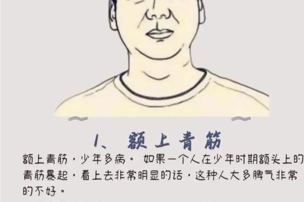 面相揭秘：眉毛的奥秘，揭秘运势与性格的秘密