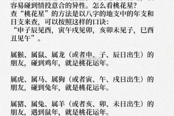 面犯桃花，揭秘你的运势与桃花运势的完美契合
