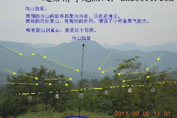 揭秘墓地风水点穴绝技：寻龙点睛，打造永恒安宁之地