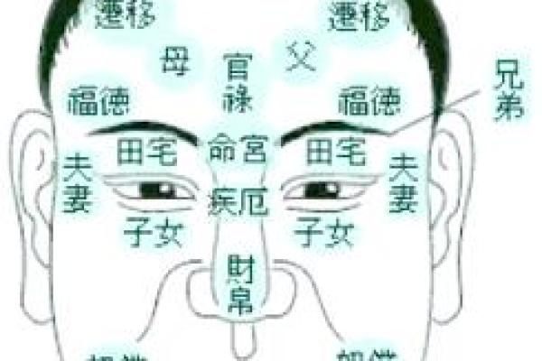 面部秘密：一窥面相背后的命运奥秘