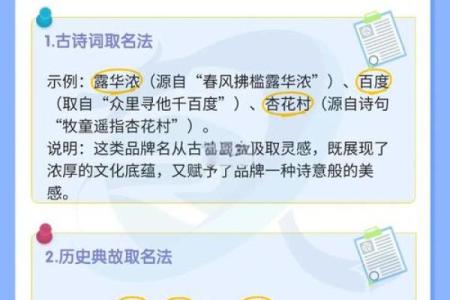 公司名字大揭秘，打分测试带你快速起名