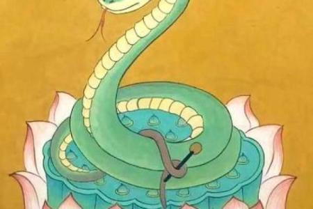 生肖女神：揭秘女人专属的幸运生肖