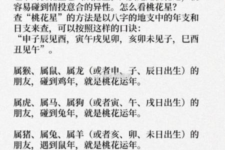 面犯桃花，揭秘你的运势与桃花运势的完美契合