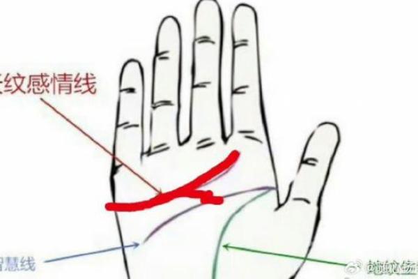 手相揭秘：婚烟线若现这些特征，小心出轨危机
