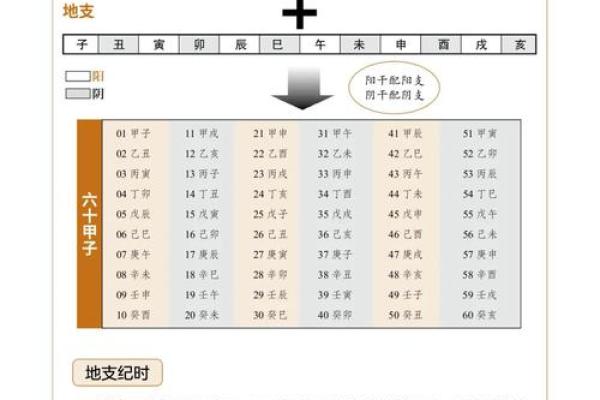 了解天干匹配，掌握命运的钥匙