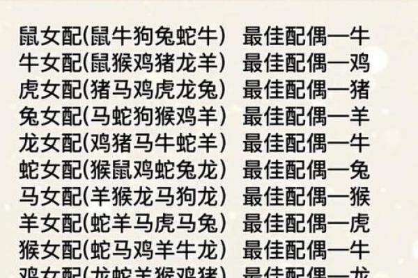 深入了解十二生肖与命理的完美契合