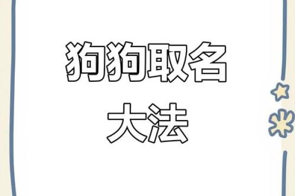可爱狗狗名字，精选大全给你灵感