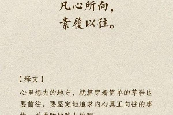 揭开八字带的神秘面纱，带你走向辉煌人生！