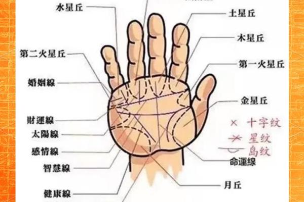 揭秘：大福大贵手相图解，你的运势藏于此