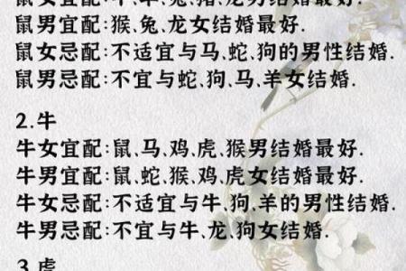 鼠年生肖配对大揭秘，寻找你的最佳伴侣