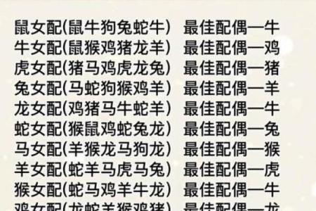 深入了解十二生肖与命理的完美契合