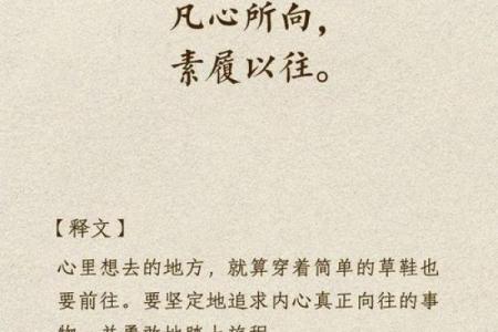 揭开八字带的神秘面纱，带你走向辉煌人生！