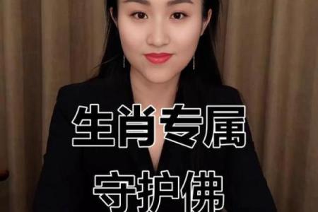 舍不得，揭秘生肖中的情感守护者