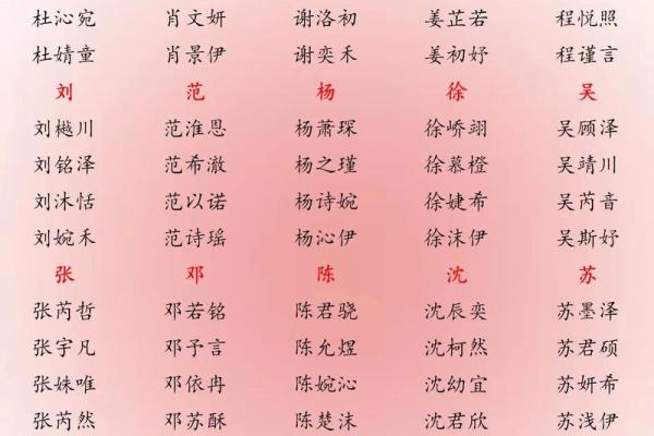 男孩起名秘籍：孟起带来的好运与未来