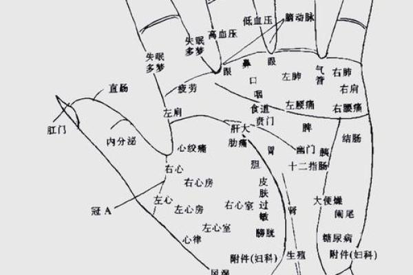 揭秘手相奥秘：一图在手，识人辨性无难事