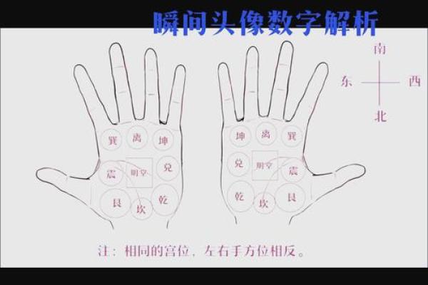 揭秘手相奥秘：一图在手，识人辨性无难事