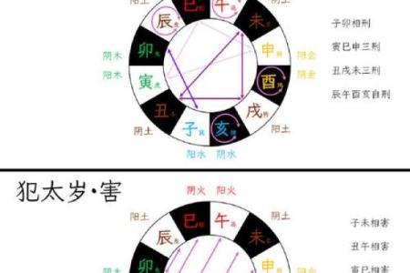金命之人，揭秘属于你的生肖宝藏年份