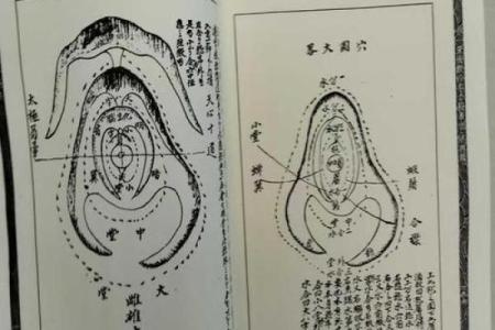 揭秘墓地风水秘籍：教你一眼识别旺地宝穴