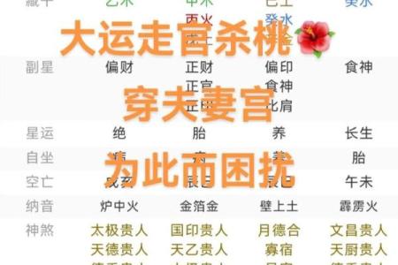招桃花必备：揭秘招桃花的神奇命格