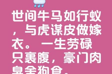 马虎配对：天生绝配还是南辕北辙？