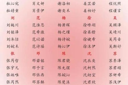 男孩起名秘籍：孟起带来的好运与未来