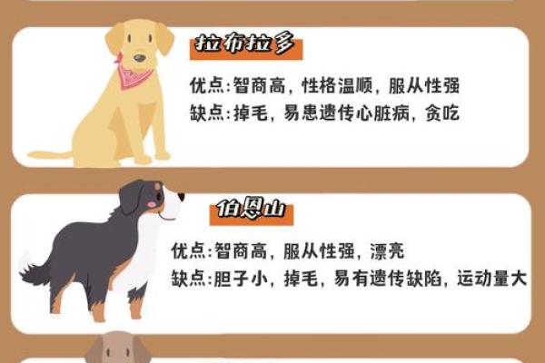 爱狗人士必看：狗狗与婚姻的完美融合？