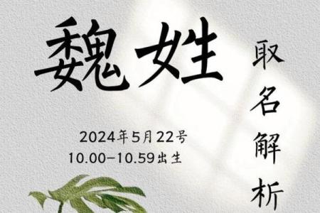 魏姓孩子起名必看！精选有深意的名字推荐