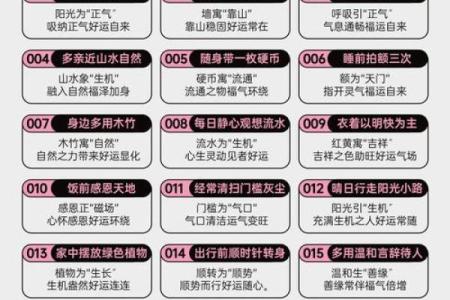 如何通过国外风水命理书籍提升个人运气