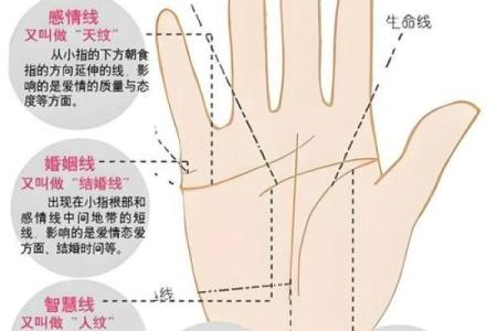 左右手相揭秘：揭秘左手右手中的命运密码