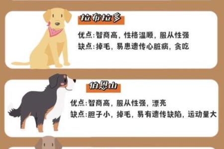 爱狗人士必看：狗狗与婚姻的完美融合？