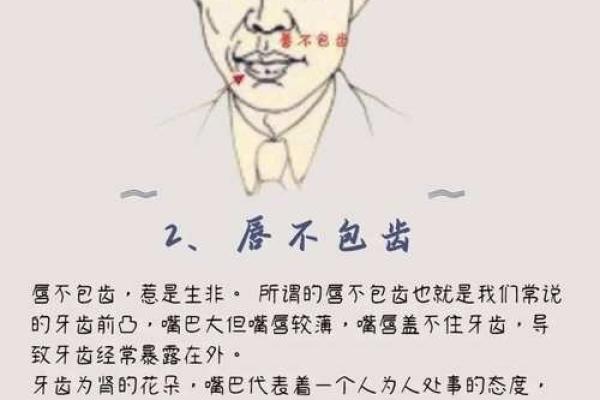 识人于微：揭秘面相中的财运密码，一眼看穿你的财富命运