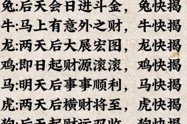 教字识生肖，趣味解密十二生肖之谜