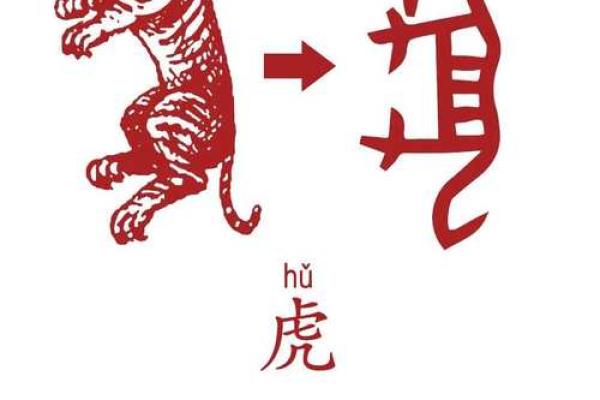 教字识生肖，趣味解密十二生肖之谜