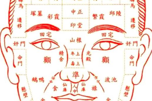 面相解码：揭秘女性神秘轮廓之美